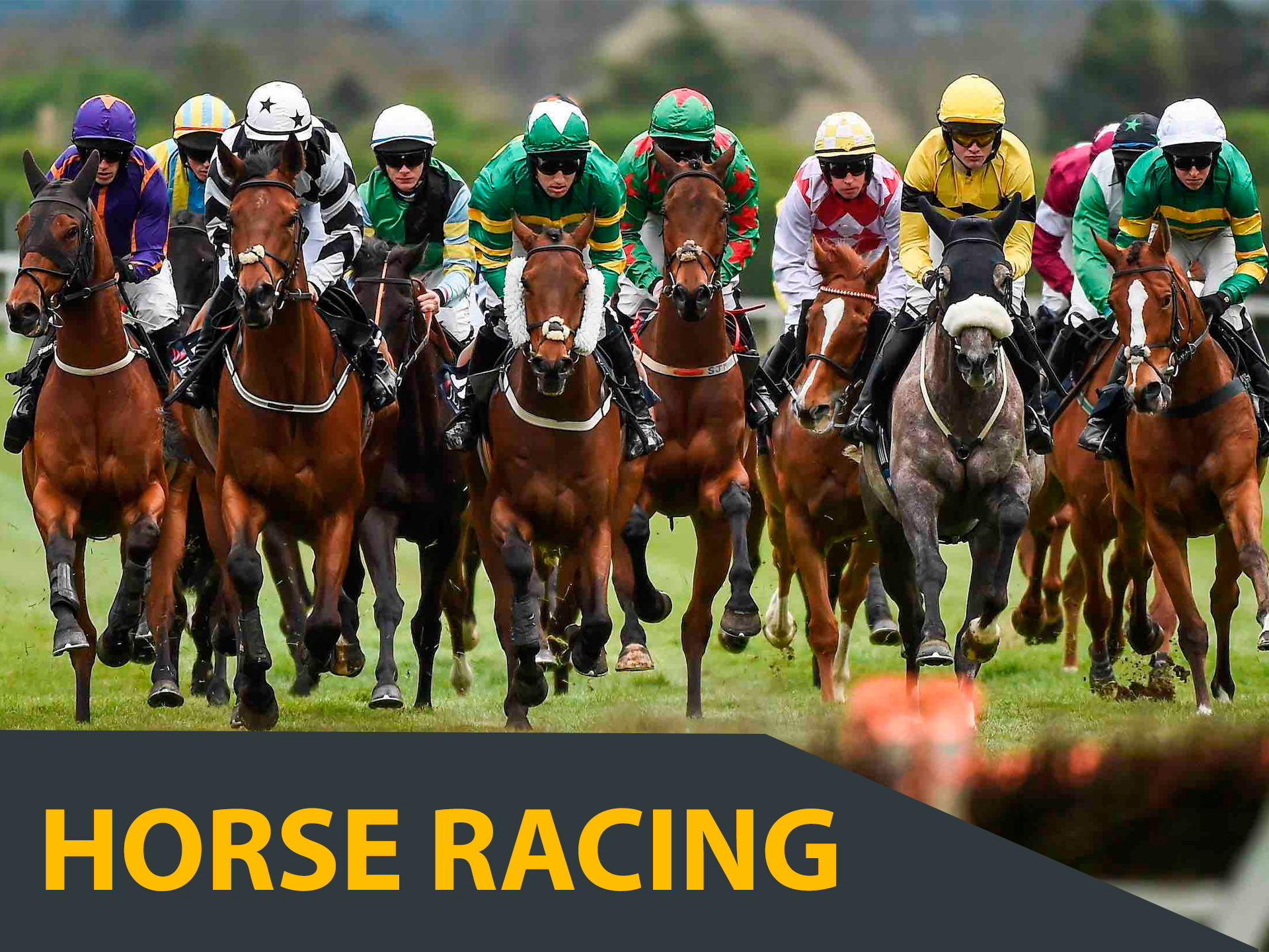 Place your online bets on Racing with Melbet BD.